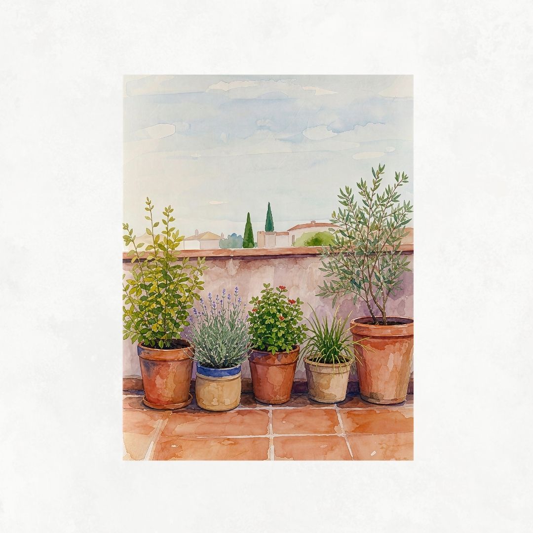 Terrace with Pots No1
