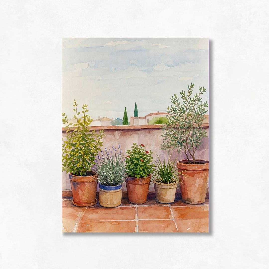 Terrace with Pots No1