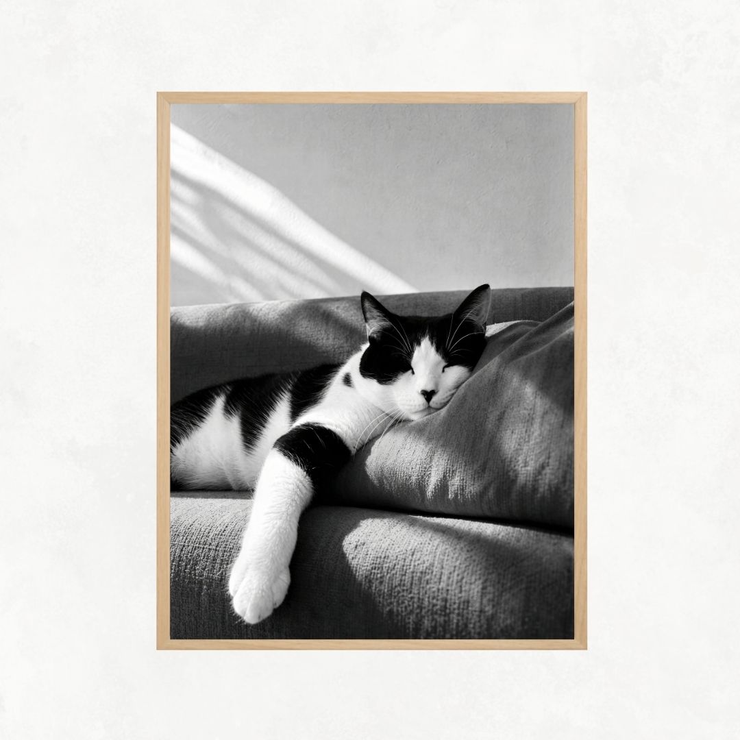Cat Sleeping