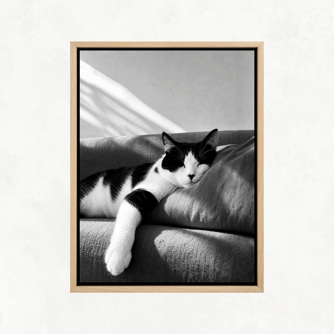 Cat Sleeping