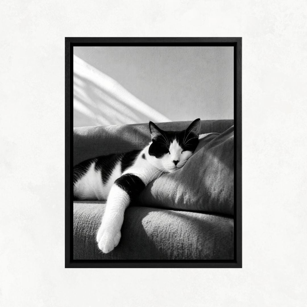 Cat Sleeping