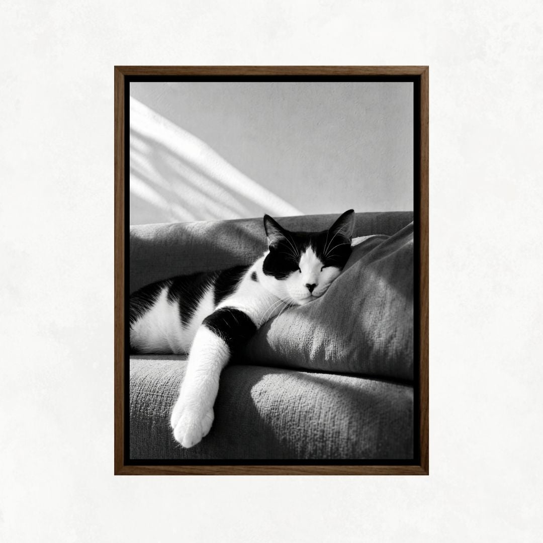 Cat Sleeping