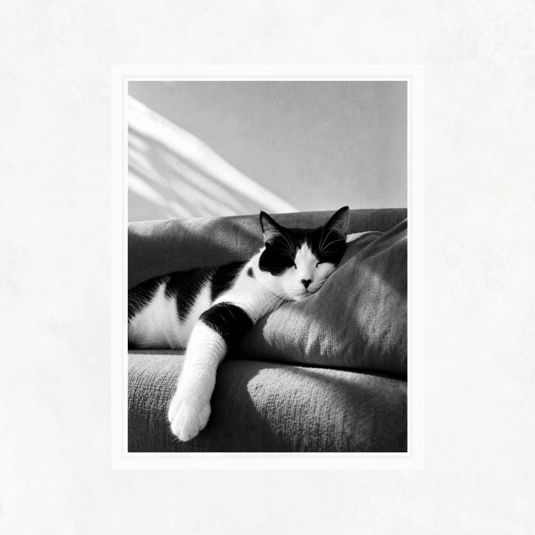 Cat Sleeping