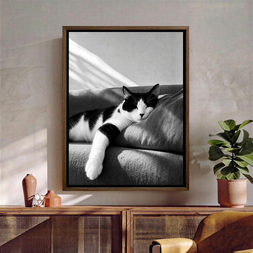 Cat Sleeping