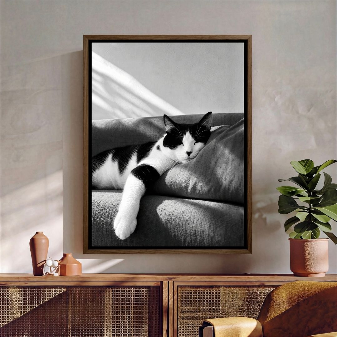 Cat Sleeping
