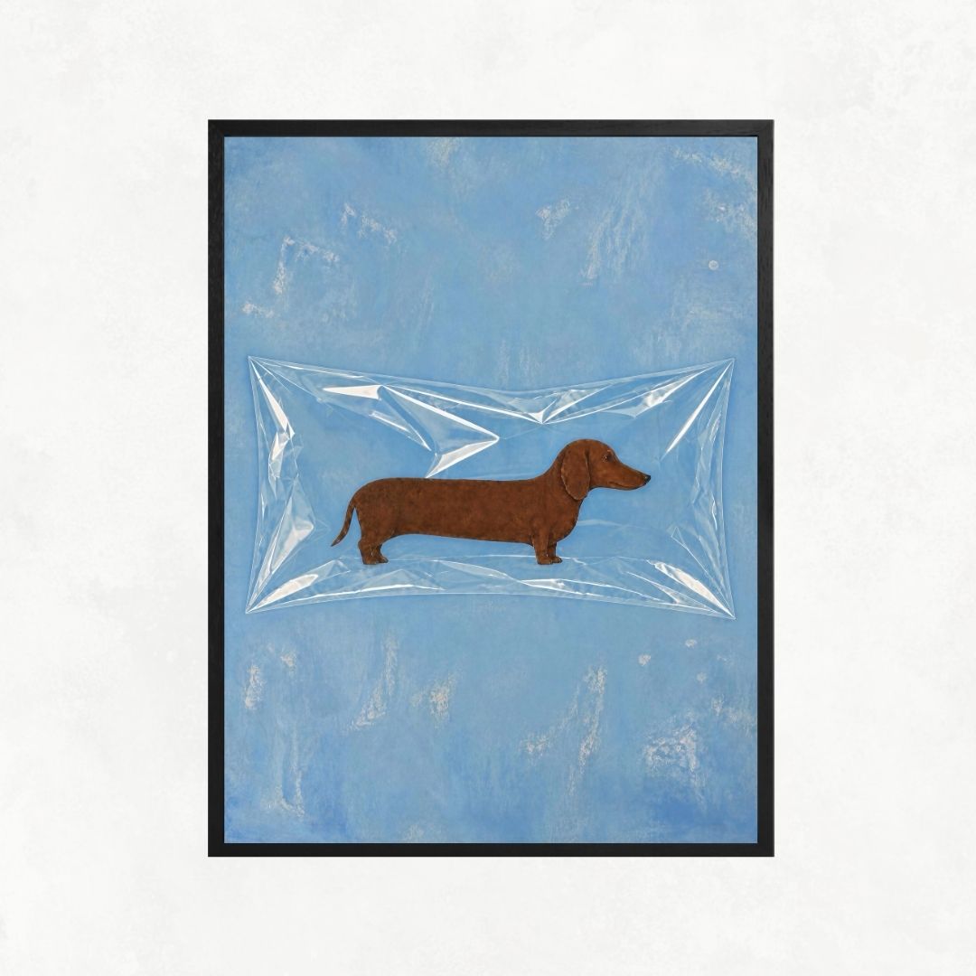 Encased Dog