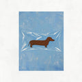 Encased Dog