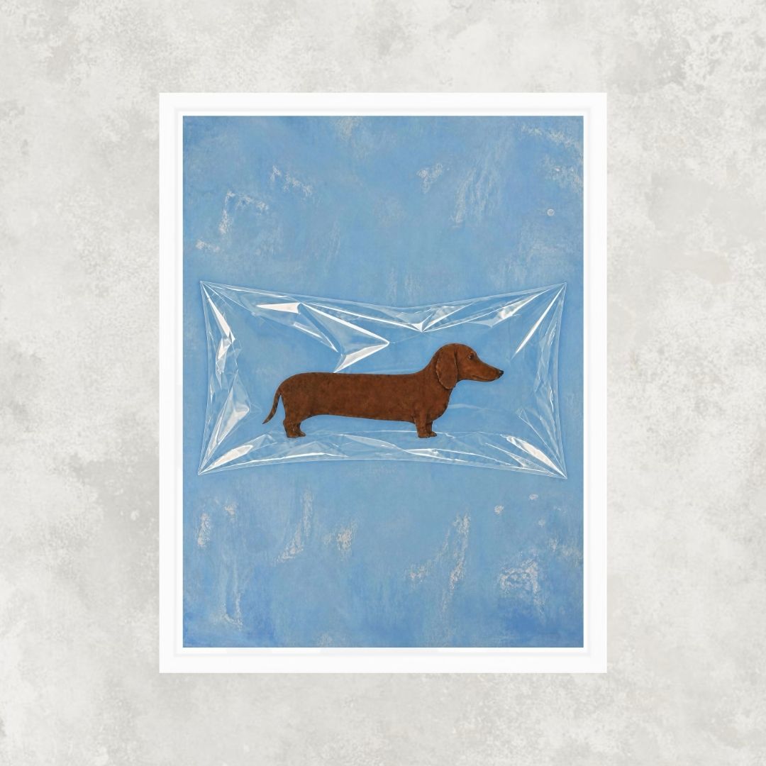 Encased Dog