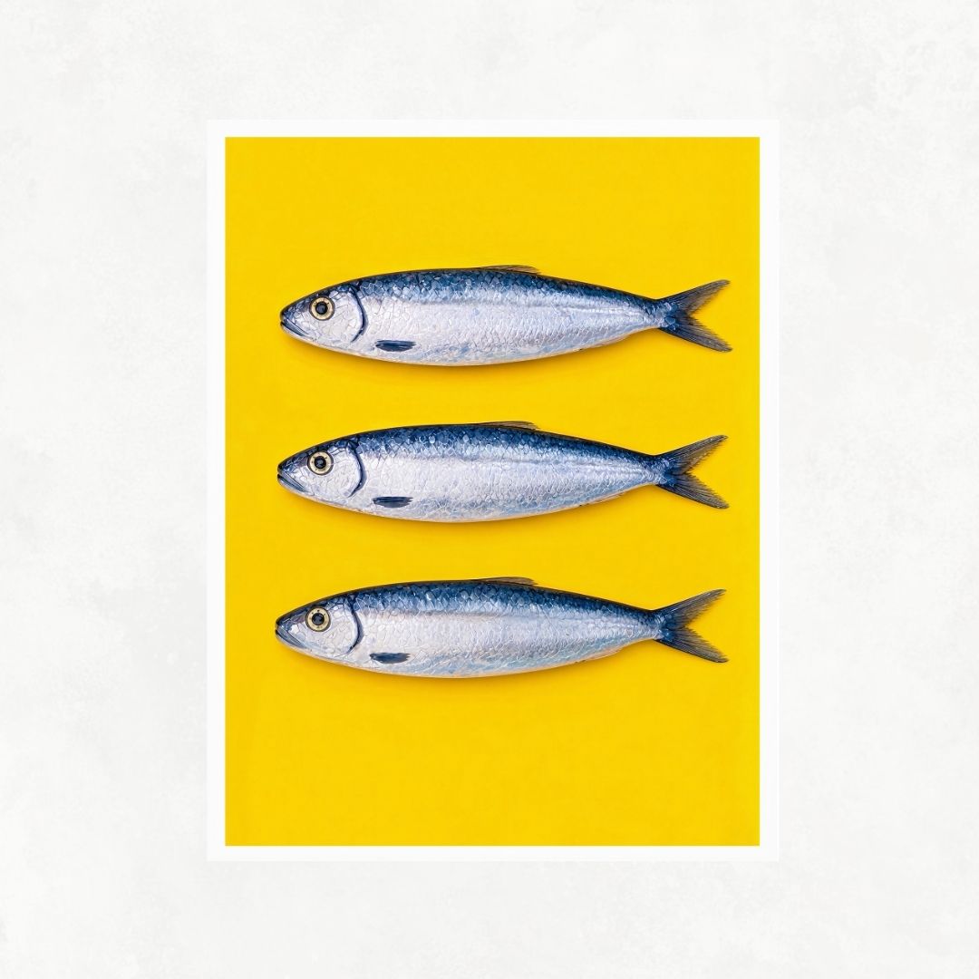 Three Sardines