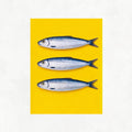 Three Sardines