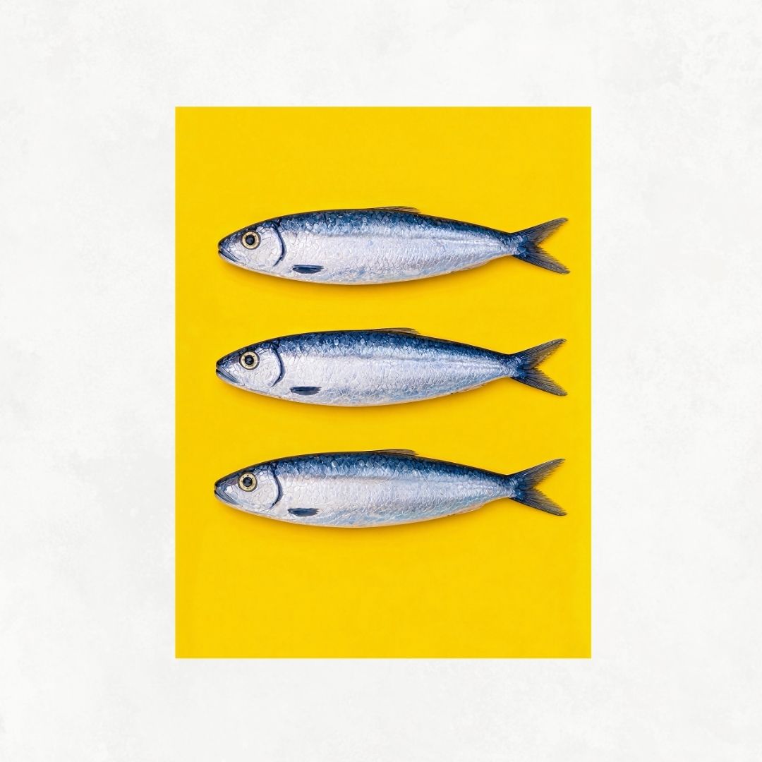 Three Sardines