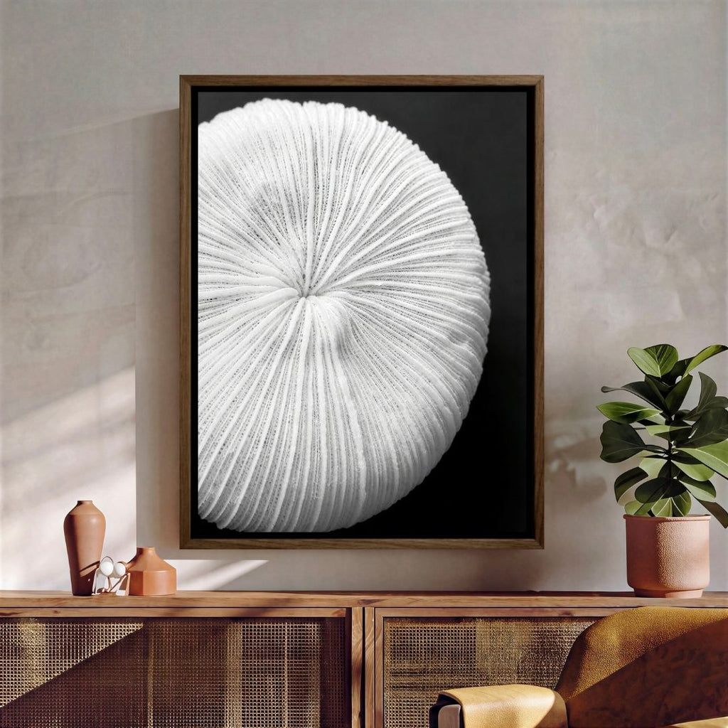 Seychelles Coral