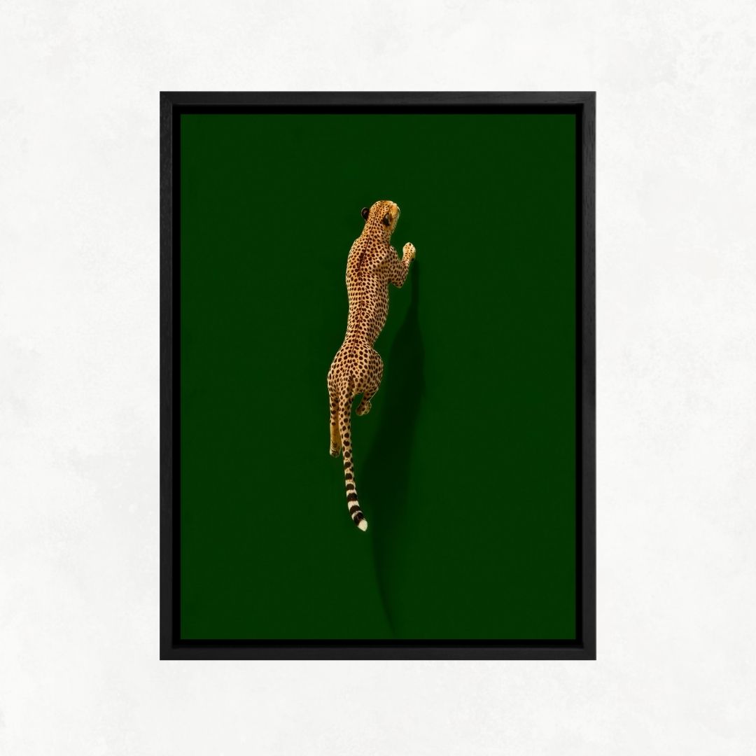 Cheetah on Green