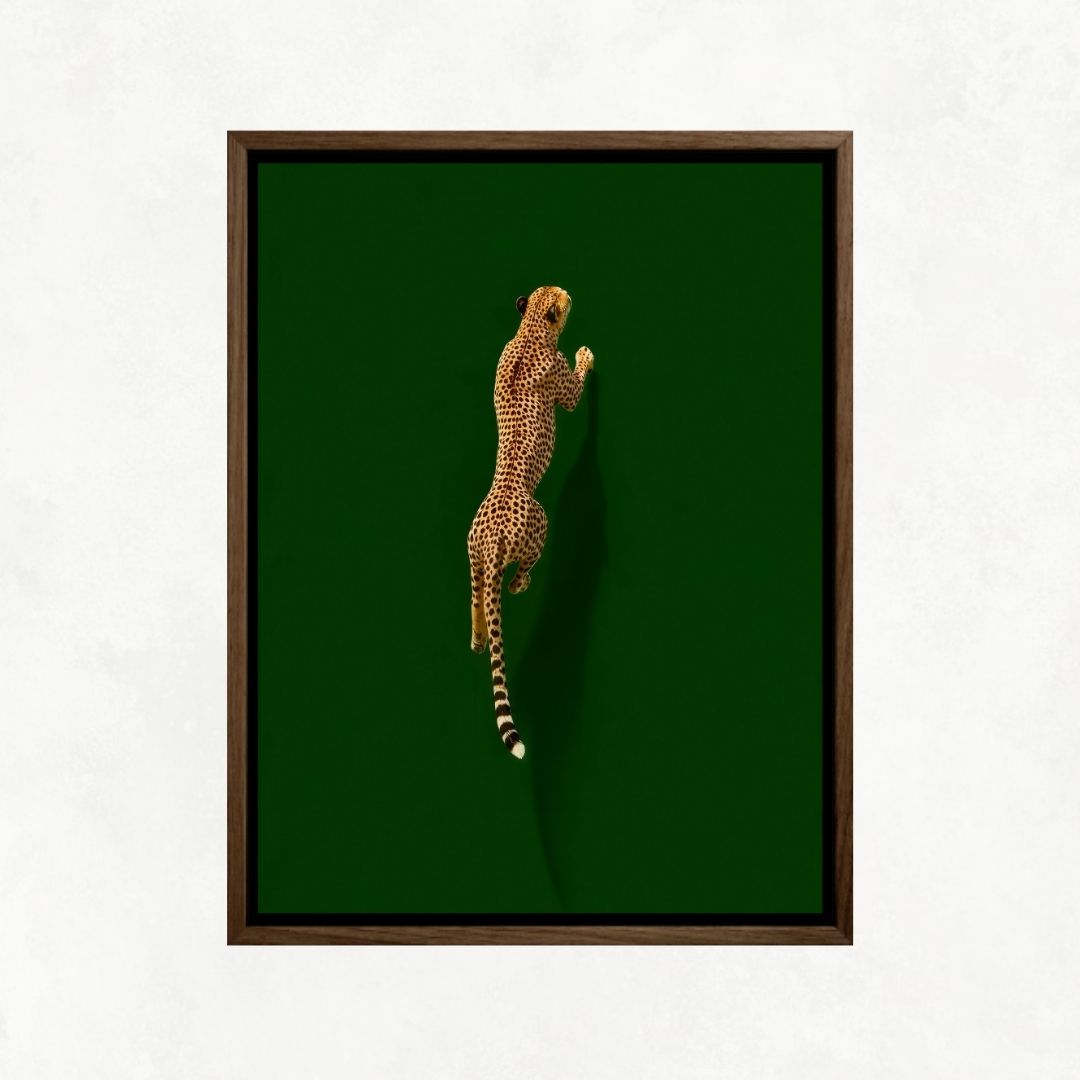 Cheetah on Green