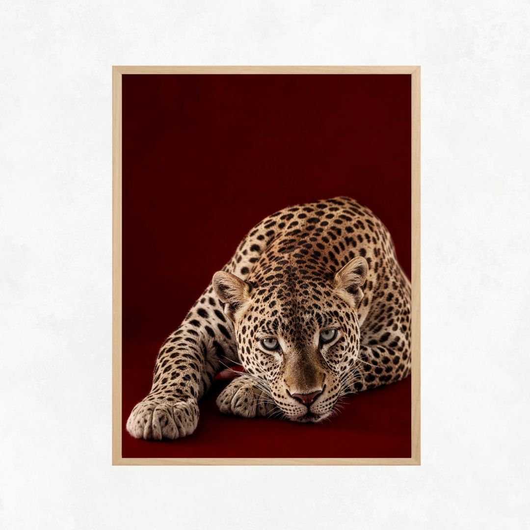 Cheetah on Red