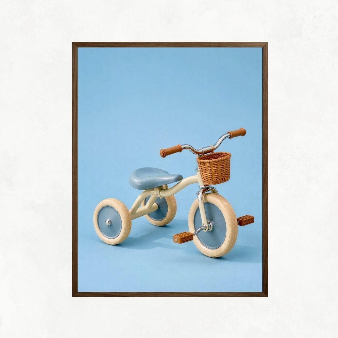 Kid's Tricycle