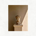 Italian Sculpture in the Shade