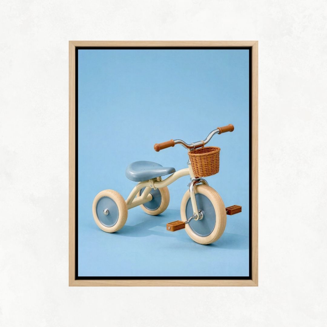 Kid's Tricycle