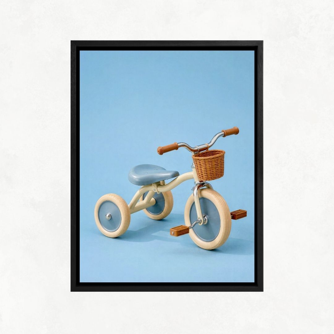 Kid's Tricycle