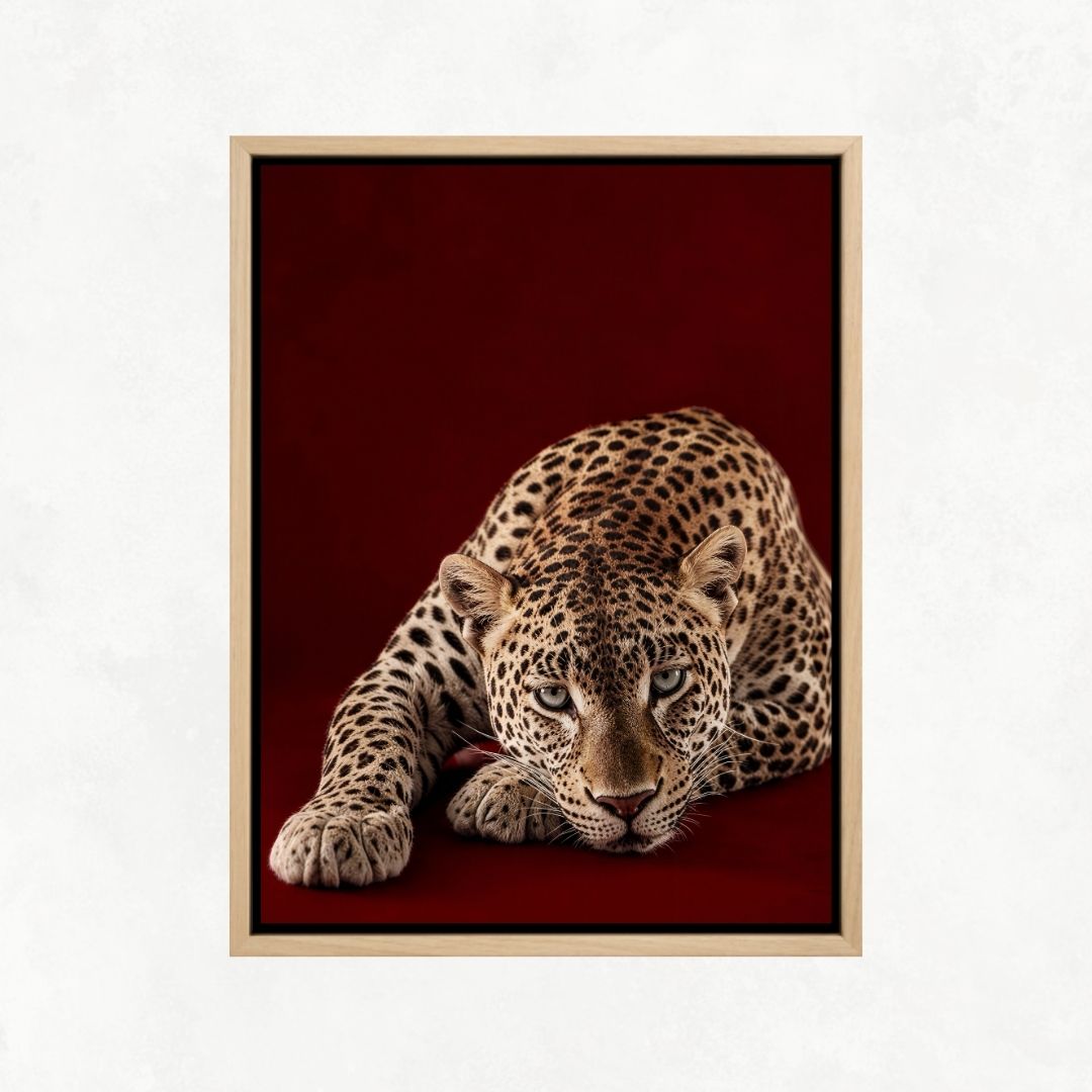Cheetah on Red