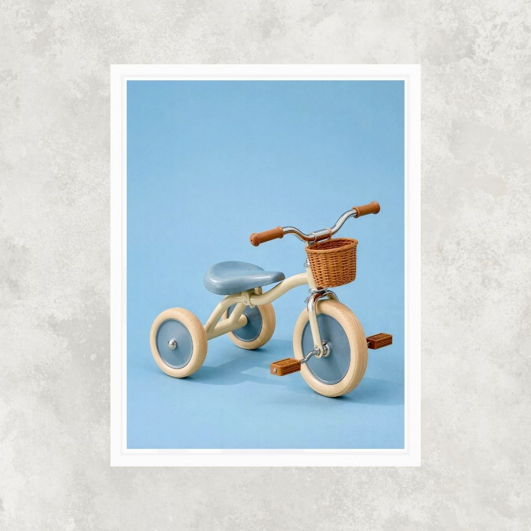 Kid's Tricycle