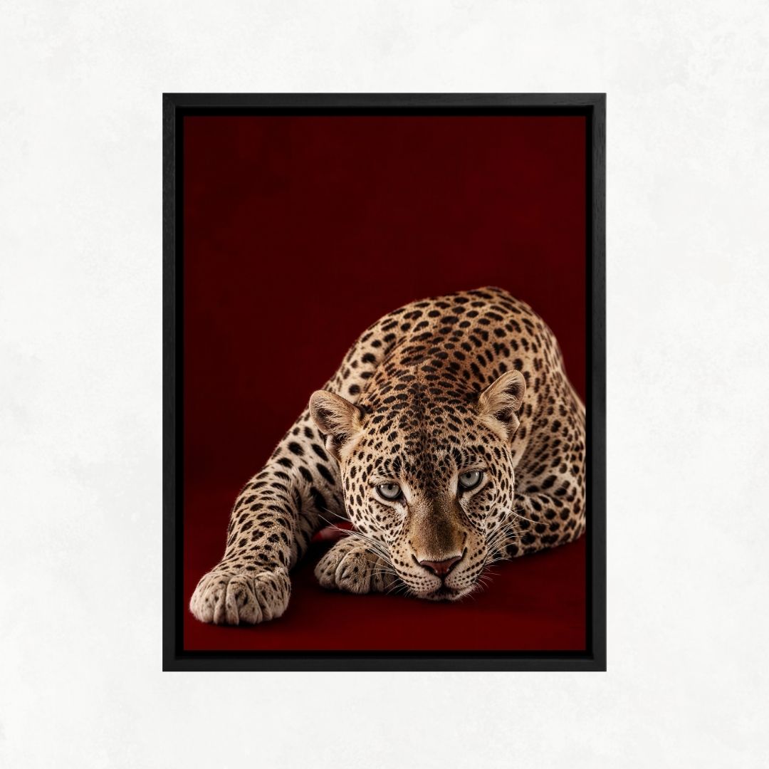 Cheetah on Red