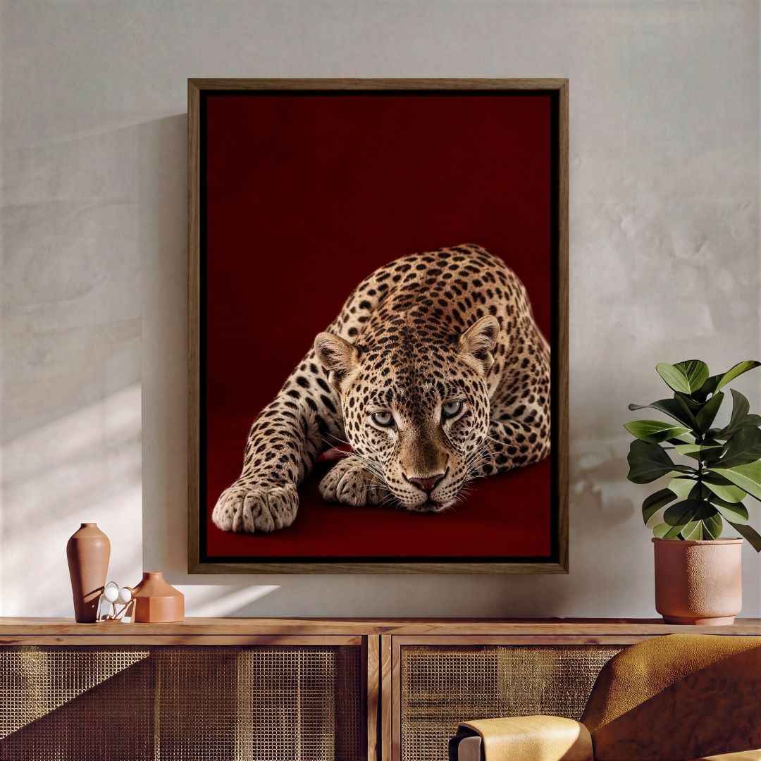 Cheetah on Red