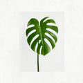 Green Plant