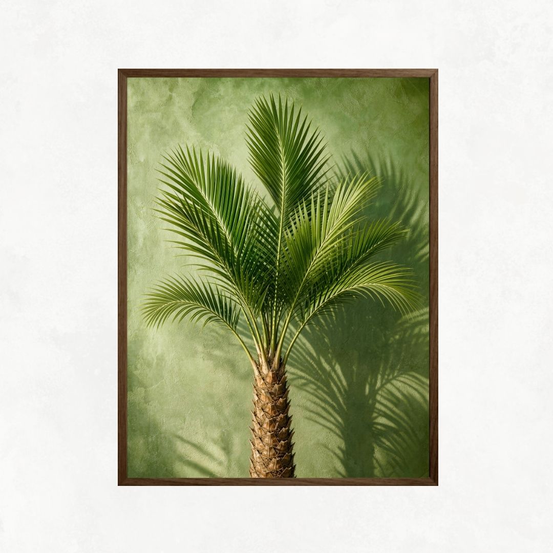 Indoor Palm Tree