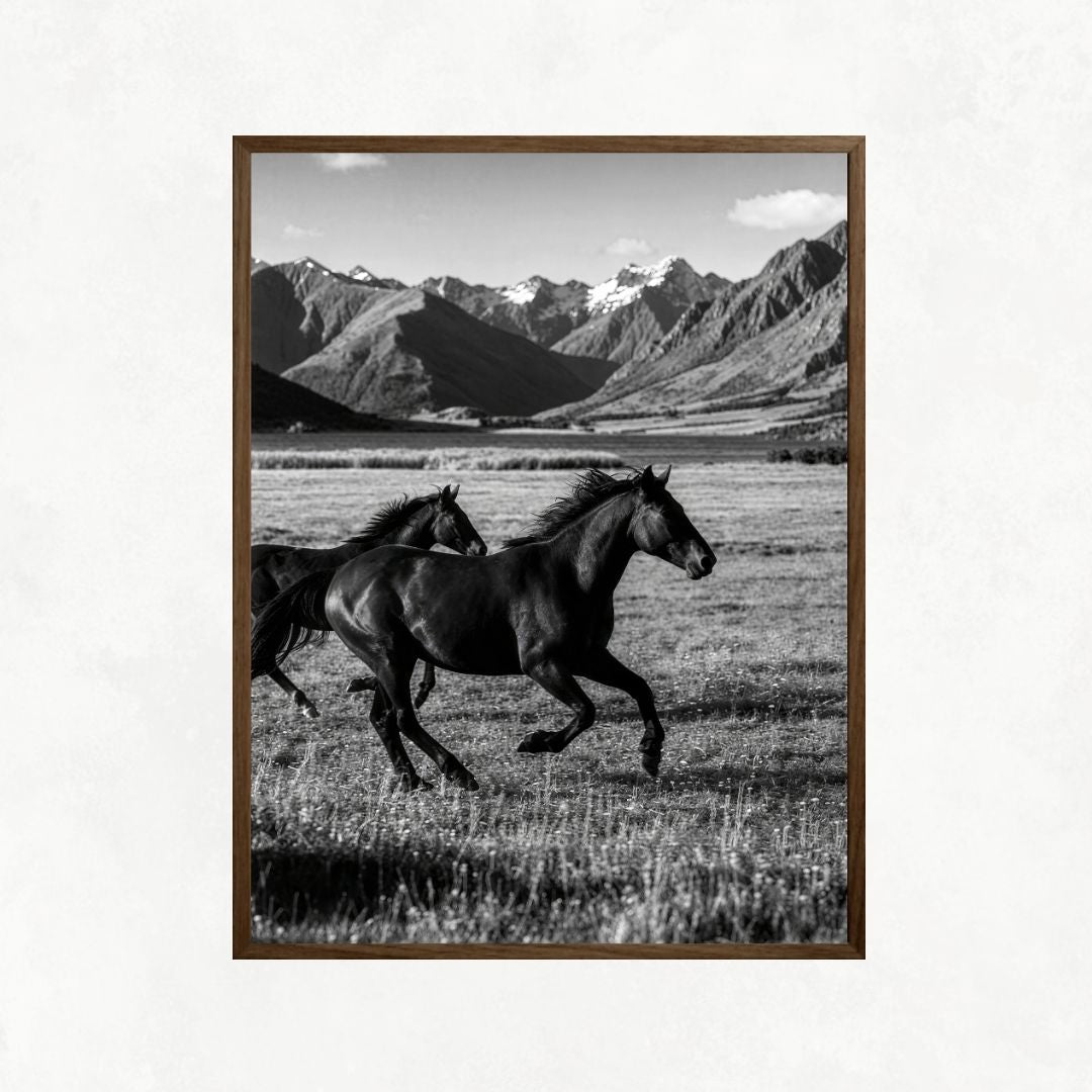 Horses Galloping
