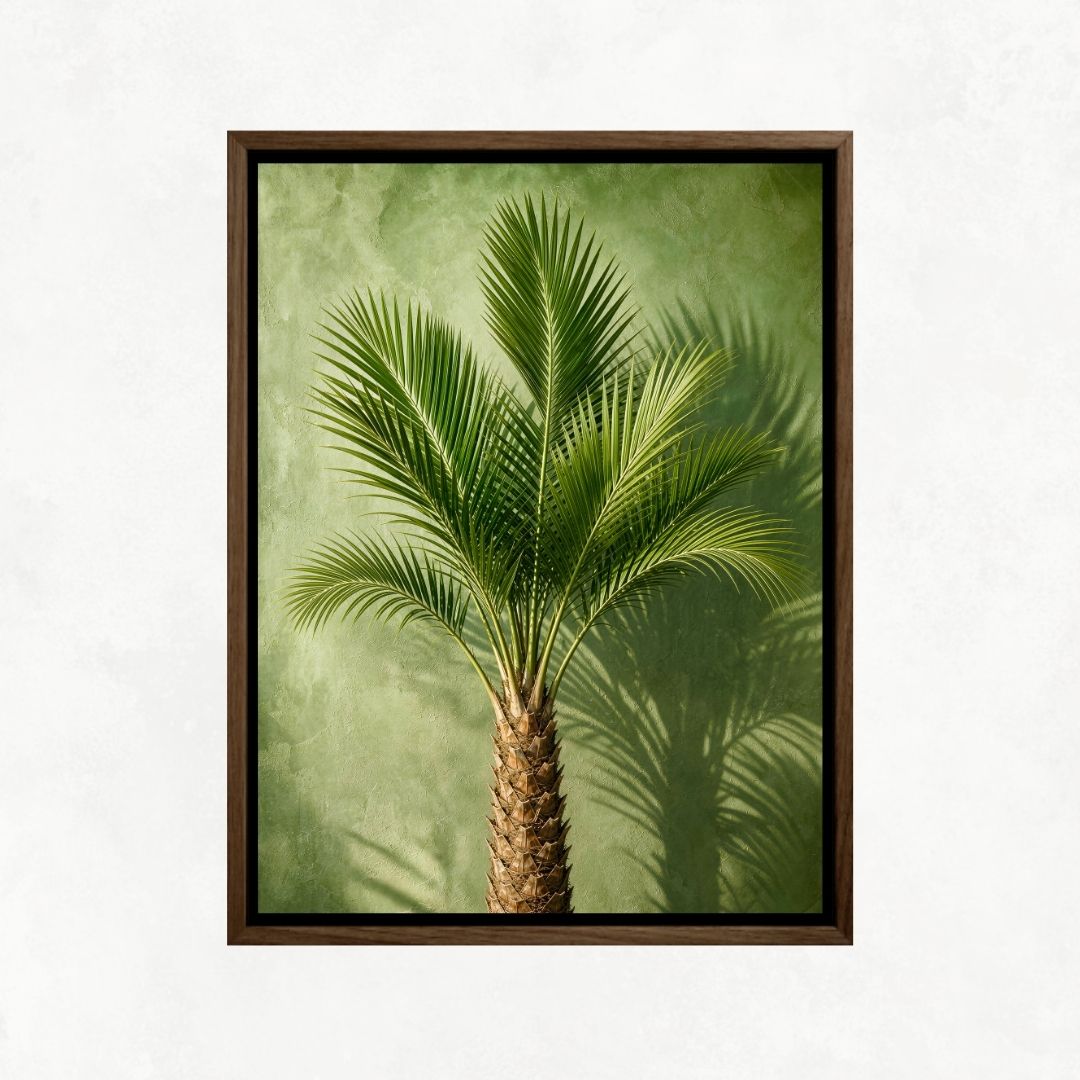 Indoor Palm Tree