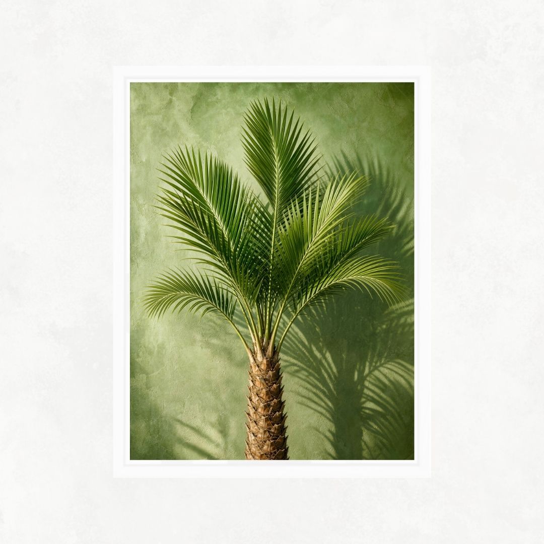 Indoor Palm Tree