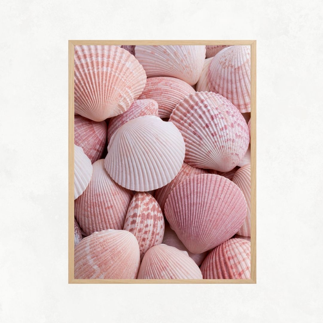 Pink Shells