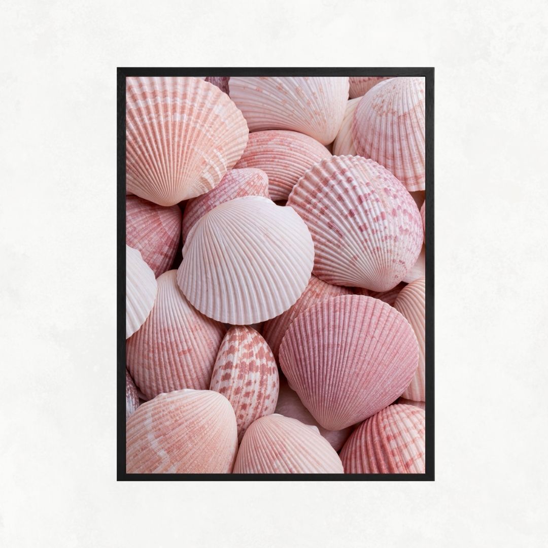 Pink Shells
