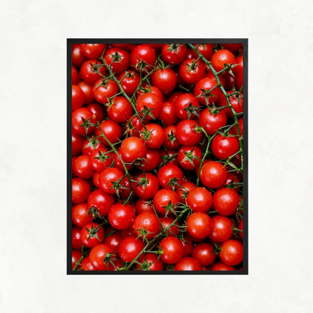Tomato Passion