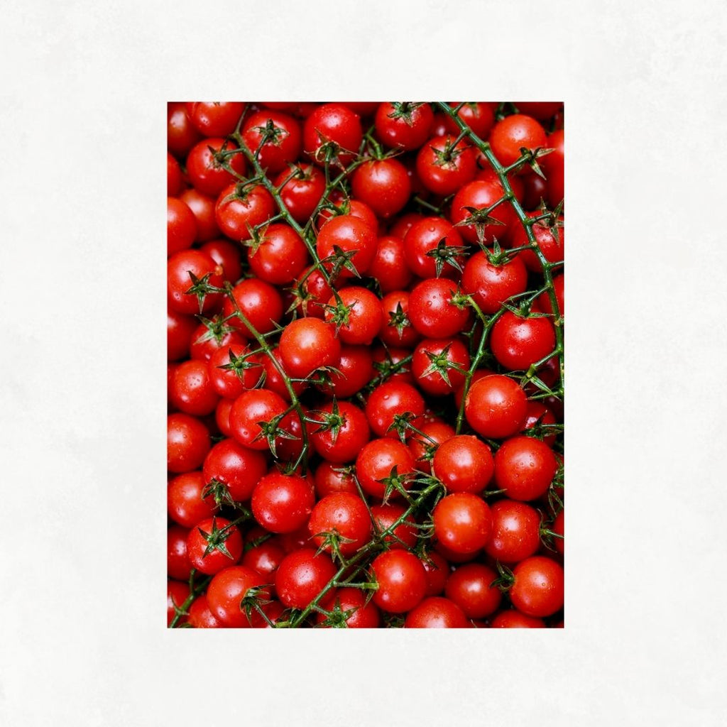 Tomato Passion