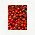 Tomato Passion