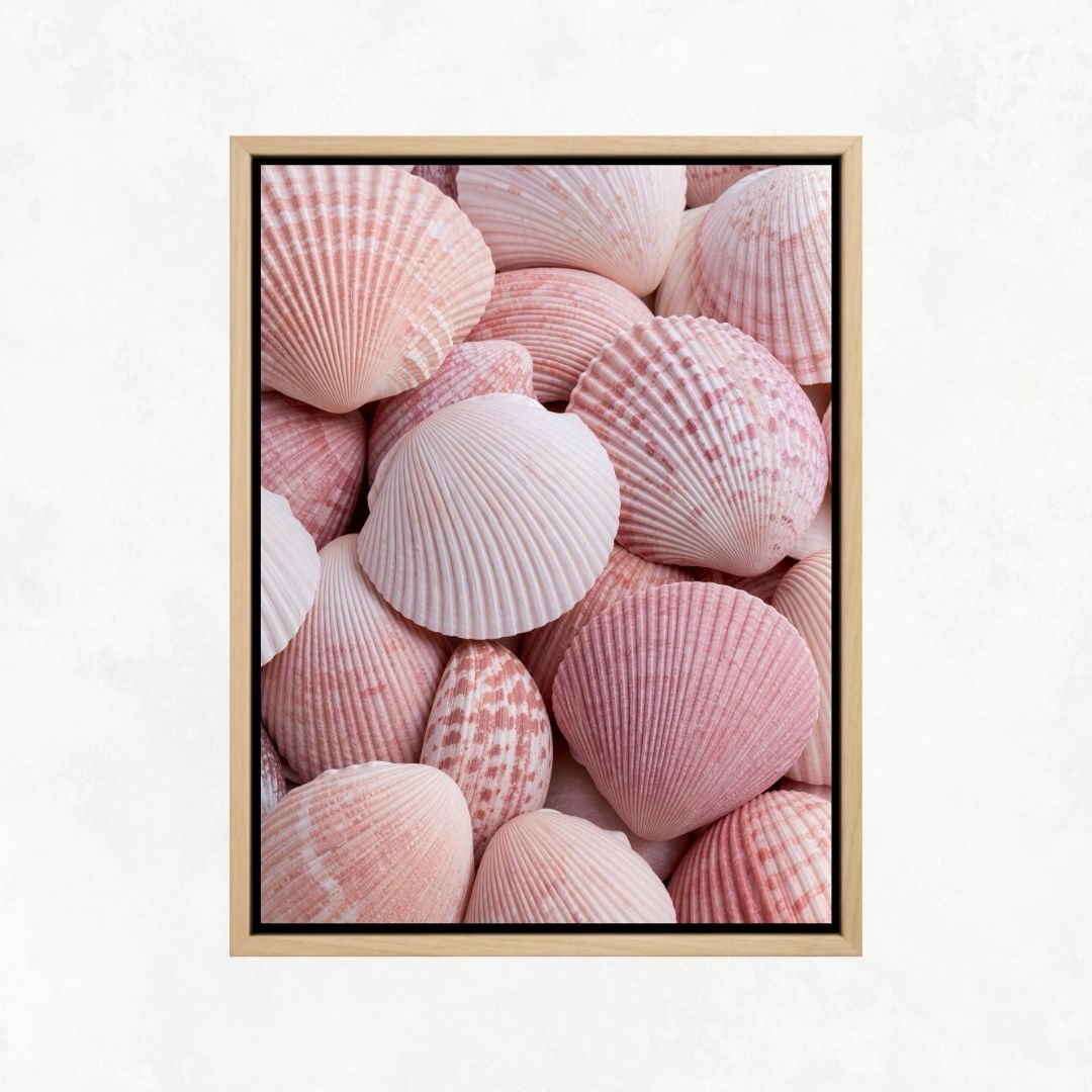 Pink Shells