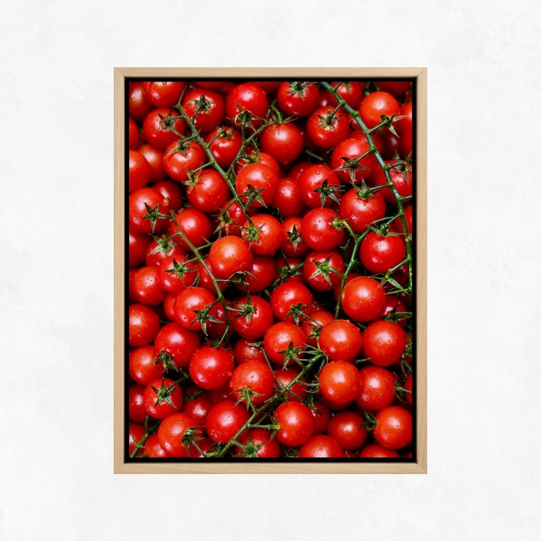 Tomato Passion