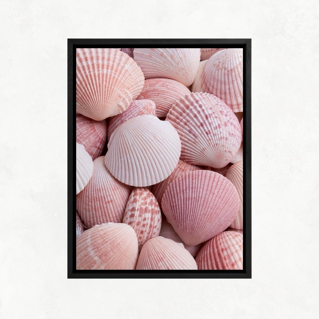 Pink Shells
