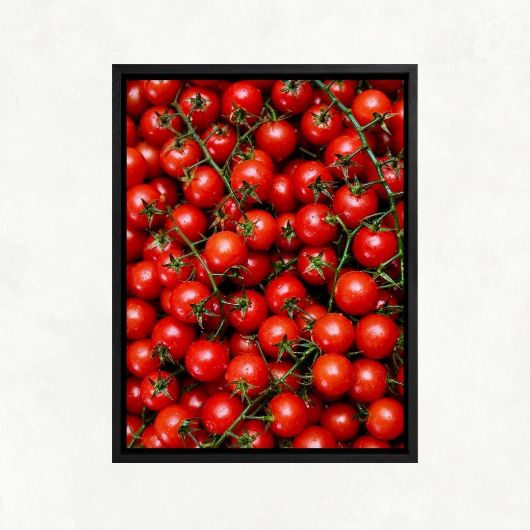 Tomato Passion