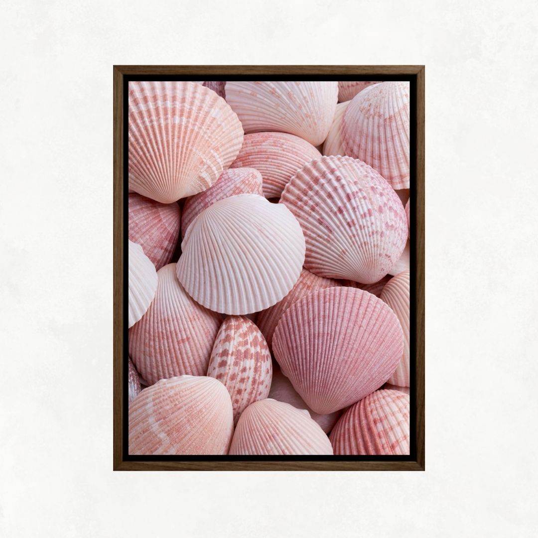 Pink Shells