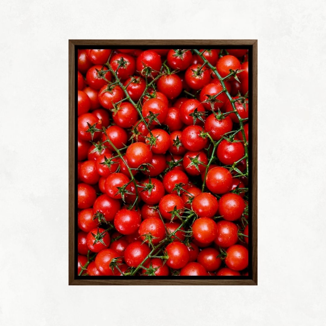 Tomato Passion