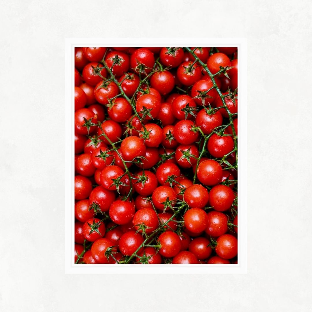 Tomato Passion