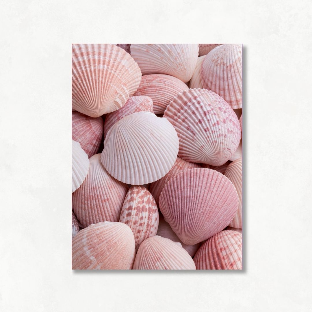 Pink Shells