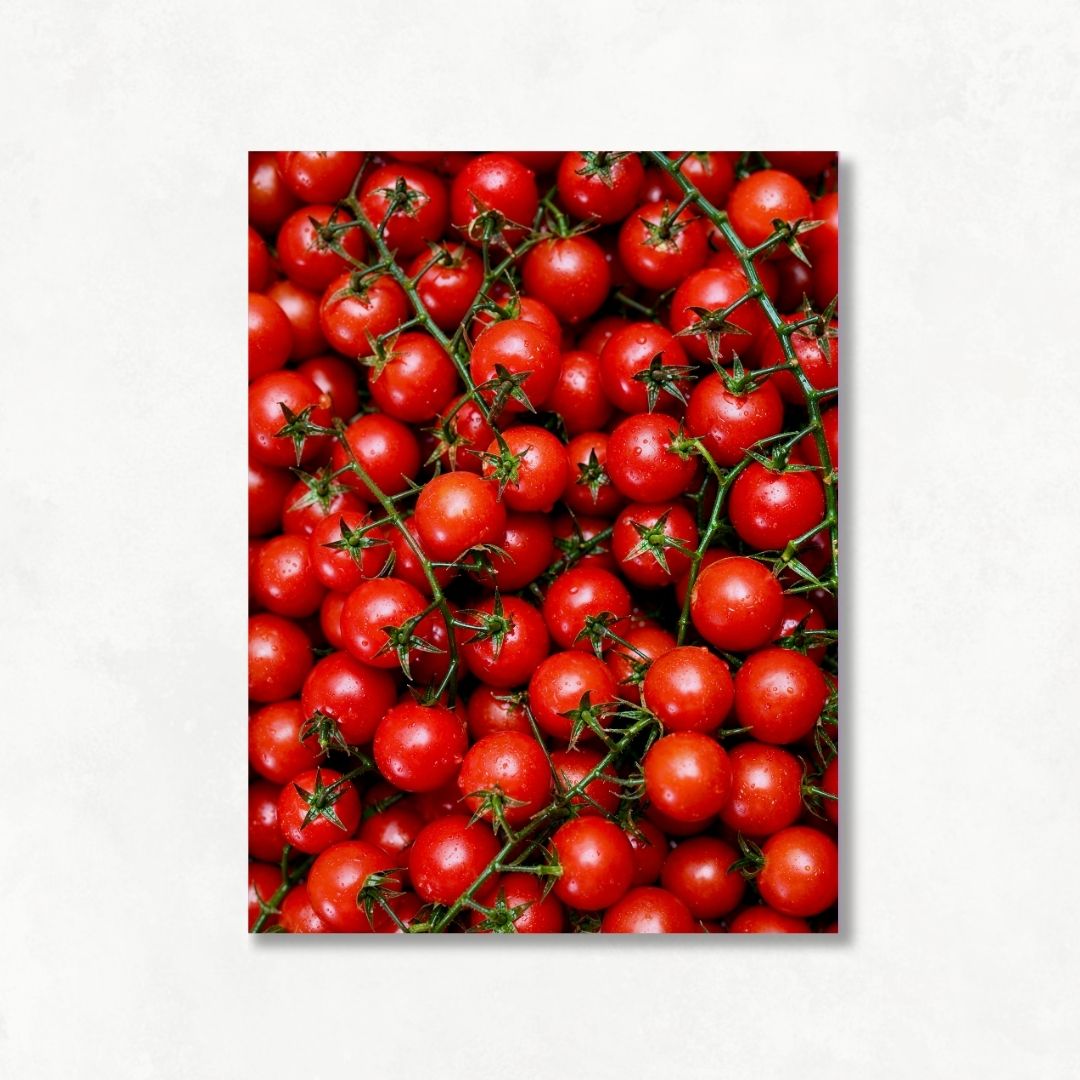 Tomato Passion