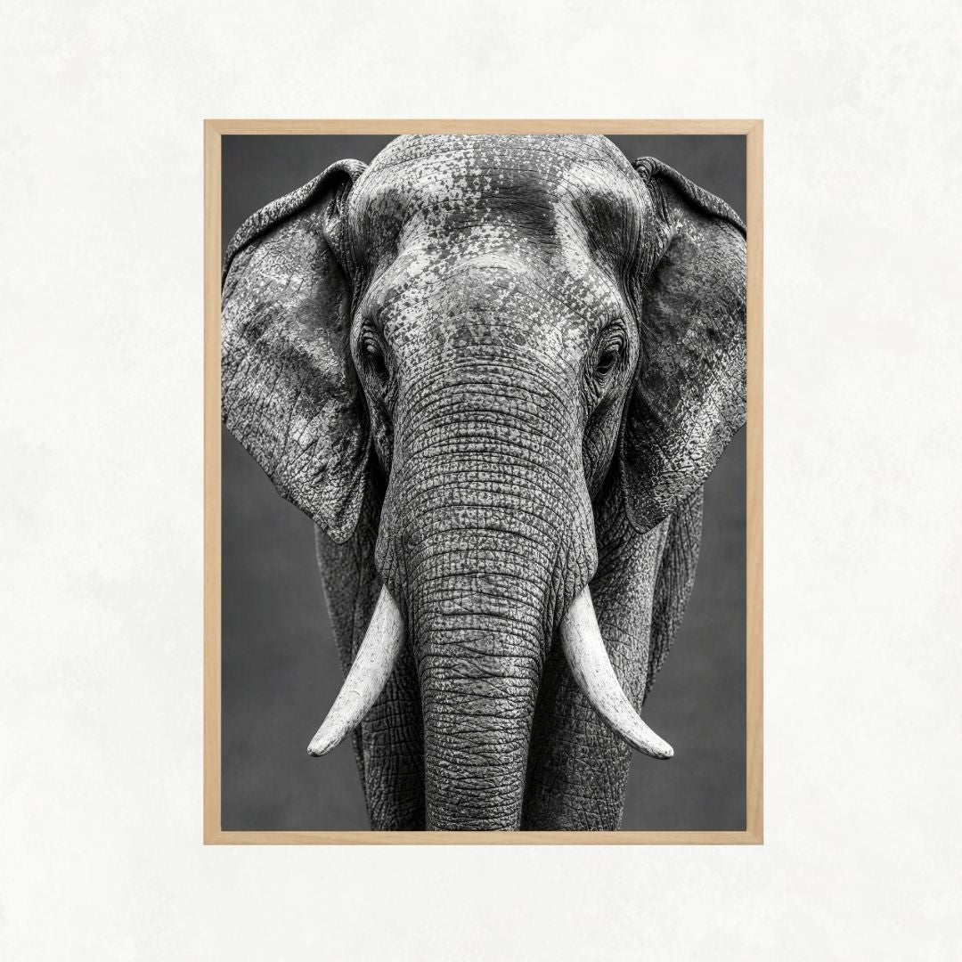 Elephant Look