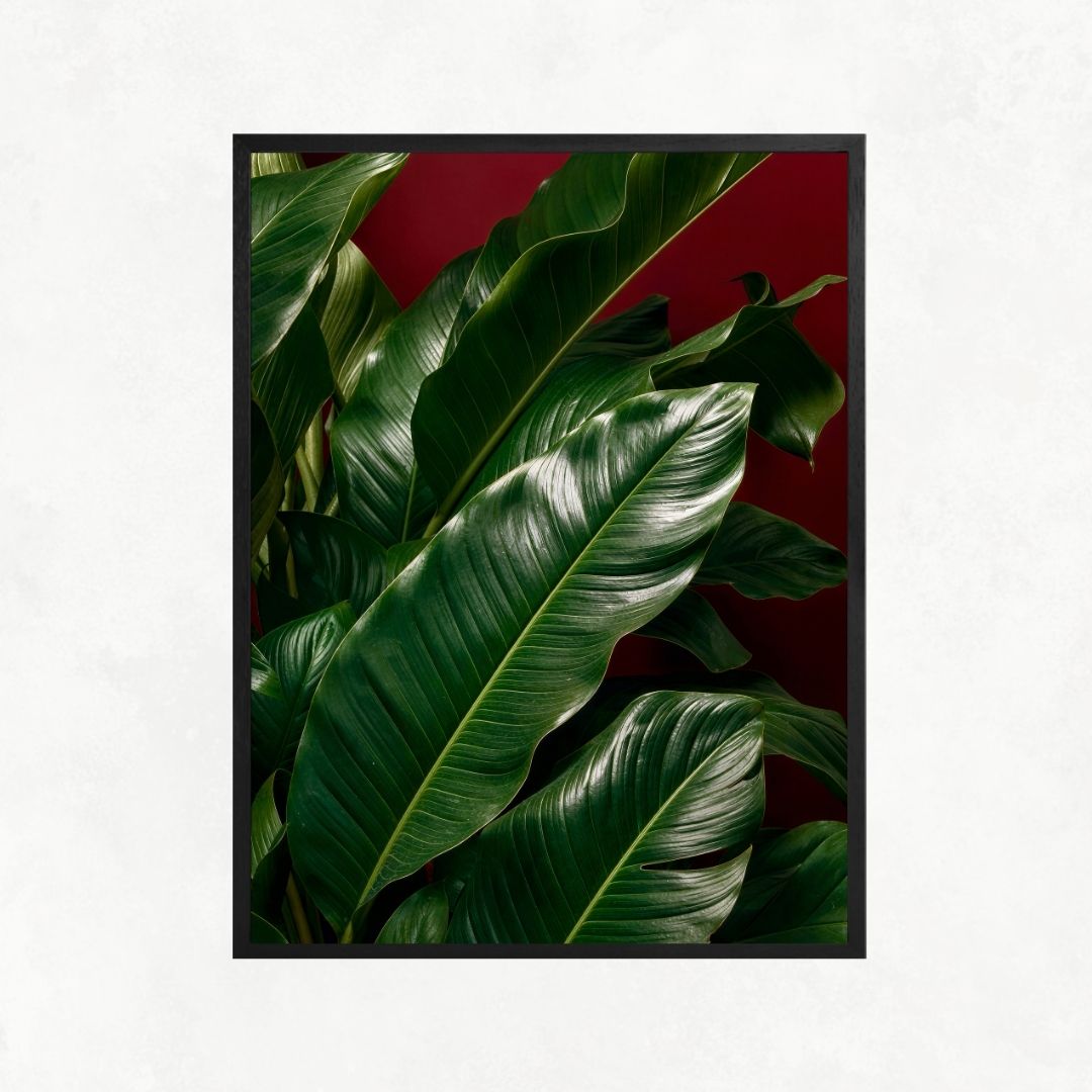 Plants with Red Background