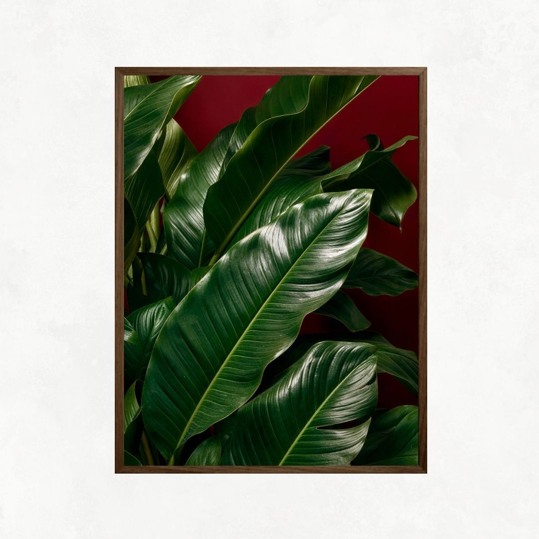 Plants with Red Background