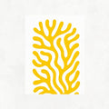 Yellow Coral